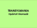 Transylmania - Elpártolt liliomszál