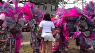 Mardi Gras Indians on Super Sunday