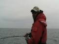 Monster Trout Biggest Lake Trout Ever Lake Michigan Fishing!!!!! For Me!!