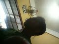 Dj Devi Morena Vol Ii House Musik 2013 Youtube_2 images Dj Devi Morena Vol Ii House Musik 2013 Youtube_2
