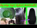 Guntagalagara aaku: తెల్ల జుట్టు ను నల్లగా దృఢంగా వుంచే Natural Hair oil |get rid of dranduf,itching