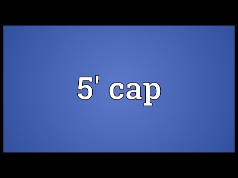 Header of 5' cap
