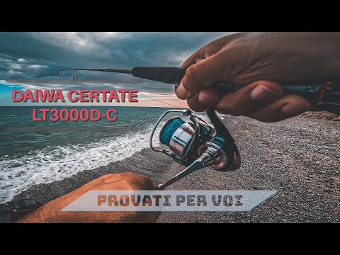 DAIWA CERTATE LT3000D-C - Unboxng second hand - PROVA IN MARE eging SPINNING