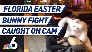 Person In Easter Bunny Costume Throws Punches During Orlando Fight | NBC 6
