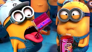 La Fabbrica Di Gelatine Dei Minions Cattivissimo Me 2 Clip In Italiano 4K