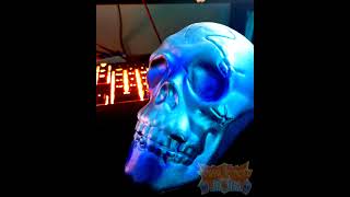 Fun Facts With Bob October 20Th, 2025 Bob Has An Inner Voice??? A Skull Mind Communication