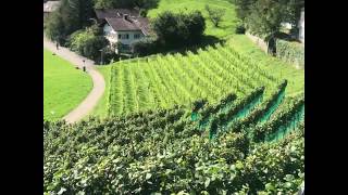 Liechtenstein 🇱🇮