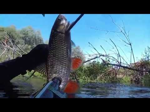 видео сом на апреле видео сом во апреле