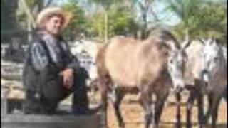Watch Adan Chalino Sanchez Nadie Es Eterno En El Mundo video