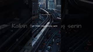 Norm Ender - Kaktüs