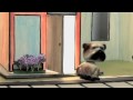 Jennie Arnau "Bouncing Ball" Video