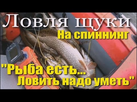 рыбалка ловля щуки на спиннинг осенью рыбалка ловля щуки на спиннинг осенью