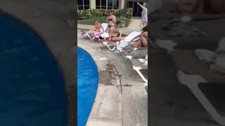 Iguanas Fight by Pool and Jump Into Water Scaring Swimmers - 1026737
