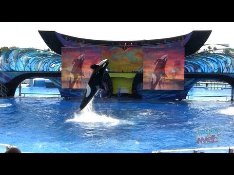 Ranker Video