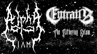 Watch Entrails The Slithering Below video
