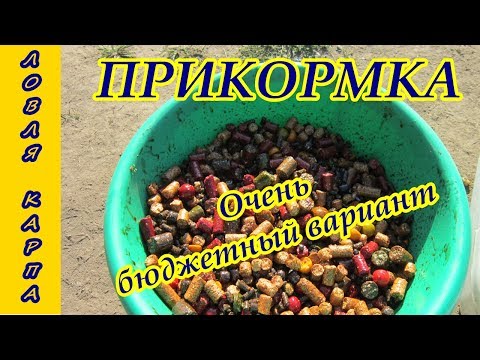 керосин для ловли леща керосин для ловли леща