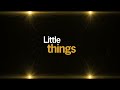 Little Things Video preview