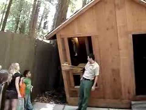 Mystery Spot Santa Cruz