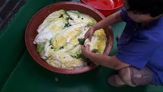 Cuộc Sống Ở Hàn Quốc| tập:27| Cùng Mẹ chồng làm Kim Chi Cải Thảo Hàn Quốc| 어머니와 함께 김치 담그기| Phần 1
