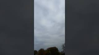 Scooter Clips