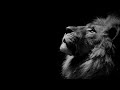 Avicii vs Belinda Carlisle & Etta James - Le7els Of Heaven (Lionheart's Vocal Edit)
