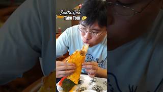 I Tried The Best Tacos In Santa Ana California Taco Tour