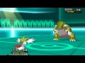 UBERS Haydunn vs. Penguingod221 | Pokemon X/Y Wifi Battle