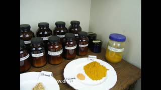 Detox Superpowders for Dogs and Cats