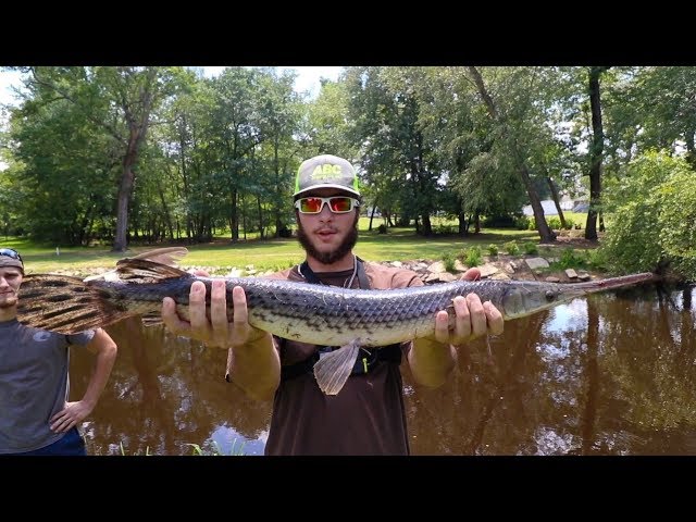 Watch How To Catch Gar ( Summer Tips And Techniques) on YouTube.