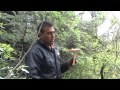 Hongos de San Miguel Canoa 5