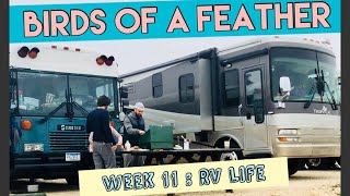 Birds of a Feather~WEEK 11: RV Life
