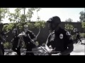Lost in the American Police State