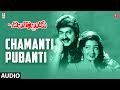 Chamanti Pubanti Song | Chilakkottudu Telugu Movie | Jagapathi B,Ramya Krishna | Koti | Telugu songs
