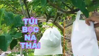 Túi Bọc Na Thái Mang Lại Hiệu Quả Tối Ưu Cuộc Sống Thường Ngày Tv
