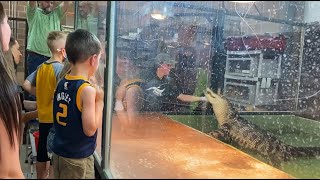 Guests Jump In To Rescue Handler Bitten By Alligator