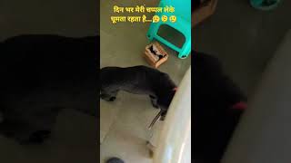 Ise Chappal Khana Pasand He