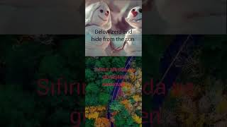 Snowman Türkçe Çeviri