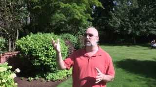 Introduction to Entrepreneurial Stories - Be Your Own Boss Eps. 01