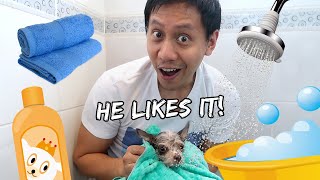 My New Puppy Has His First Bath Vlog