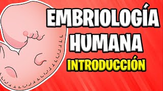 Introducción A La Embriología Humana Conceptos Básicos