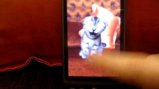 Kitty Tickle Android Application