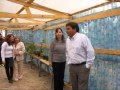 Inauguraron invernadero que se hizo con 2 mil botellas plásticas