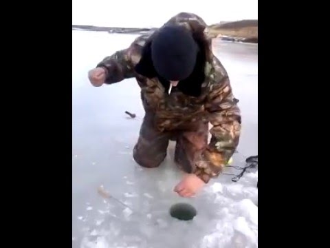 сазан ловля на каме сазан ловля на каме
