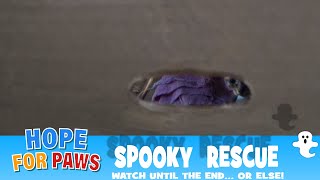 Spooky rescue - watch until the end... or else!