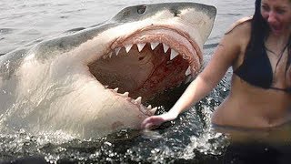 Top 5 SCARIEST Moments Caught On GoPro Camera!