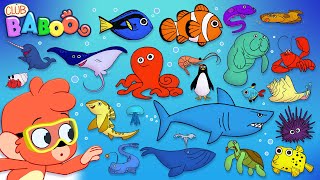 Animal ABC | learn the alphabet with 26 cartoon Ocean Animals | ABCD sea animals
