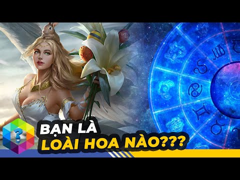 Loài Hoa Tượng Trưng Cho 12 Cung Hoàng Đạo Đem Lại Thành Công - Top 1 Khám Phá