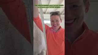 How To Check Your Horses Weight