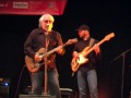 Bob Margolin Band - Lost Again