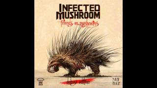 Watch Infected Mushroom Where Do I Belong video